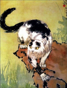 Xu Beihong Katze 2 alte China Tinte Ölgemälde